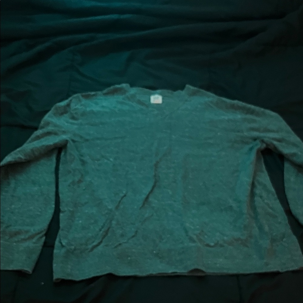 GAP Forest Green V-Neck Sweater